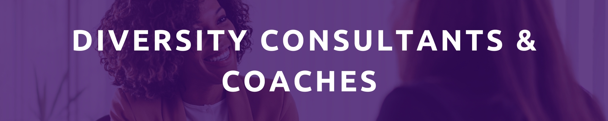 Diversity Consultants & Coaches 